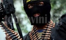Джихадистка група разбита в Австрия