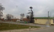 Щъркели се настаниха в старите си гнезда в Самуилово