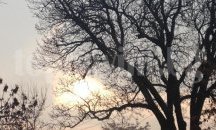Времето днес ще е слънчево и топло, с температури над 20 градуса