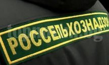 Русия не бърза да сваля всички ограничения за турските плодове и зеленчуци
