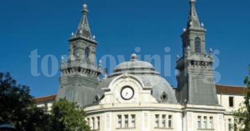 Zhivotnovdi Protestirat Pred Ministerstvoto Na Zemedelieto