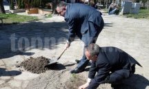 Засадиха наследник на Стария бряст в Сливен