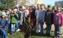 Малчугани засадиха горичка в двора на детска градина в Добрич
