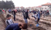 СИДП осигури фиданки за национална залесителна инициатива
