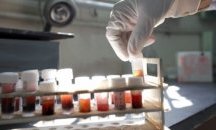 Глобалното затопляне може да събуди кошмарни бацили