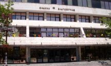 Лекар блъсна пресичаща Е-79 жена край Благоевград