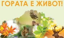 Под мотото „Гората е живот“ ще премине Седмицата на гората
