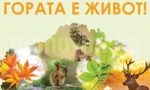 Символичен старт на Седмица на гората 2017 ще бъде даден на 5 април в Добрич