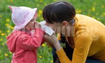 Храни, които помагат срещу алергии