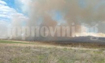 Пожар бушува в овощни градини и лозя край Мурсалево
