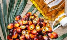 През 2016 г. в България са консумирани над 12 хиляди тона палмово масло
