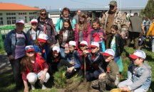 Горските стопанства в Провадия и с. Цонево подариха дръвчета на ученици
