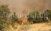48 горски пожара за три месеца в Благоевградско