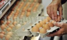 КЗП: Дежурни екипи ще правят проверки за Великден