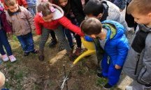 Седмица на гората отбелязаха в ДГ "Конче Вихрогонче" и в III ОУ „Димитър Благоев“