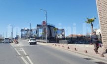 Пловдивчани масово карат бясно