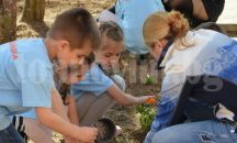 В Седмицата на гората бе преобразен двора на ЦДТ "Роса" в Благоевград