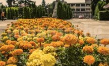 В Кнежа започва пролетно почистване