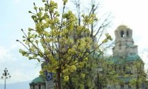 Mият зоните около столичните църкви за Великден