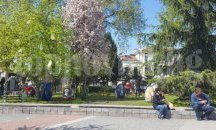 В Пловдив обявяват война на вандалите
