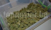 Легализират марихуаната в Канада догодина