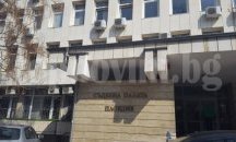Съдят пловдивчанин, убил бездомно куче с лък