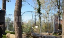 Довършването на зоопарка в Пловдив-само с разрешение на прокуратурата