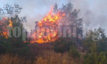 Хиляди евакуирани във Флорида заради горски пожари