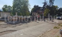 Поредно насилие над животно в село Мараш