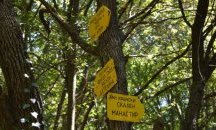 Отстраняват опасни дървета, паднали екопътеки на Шуменското плато