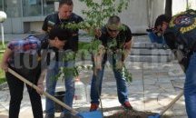 Рокери в Харманли засадиха дърво