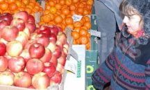 Готови са образците на Училищните схеми за плодове, зеленчуци и мляко
