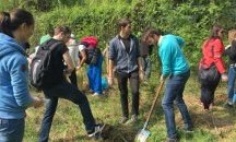 Над 300 доброволци засадиха дървета в столичния зоопарк