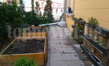 Как да отглеждаме природосъобразно култури в градска среда разискват в музея в Русе