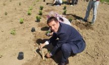 Продукцията на разсадник край Върбица поема към общински паркове и алеи