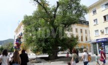 По-малко сватби и повече разводи в Сливенско