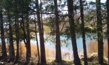 Водата на Кръстова чешма и Тодоровото аязмо с отклонения като микробиология