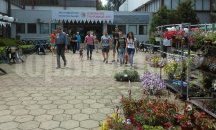 В неделя е кулминацията на изложението в Търговище