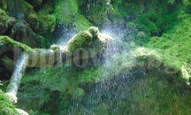 България вписва четири биосферни резервата по изискванията на ЮНЕСКО