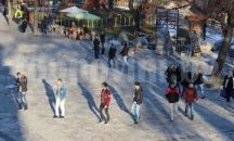 Предупредиха собственици на пасящите животни в Банско