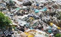 Собственик превърна имота си в Добрич в сметище