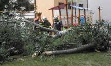 Клон на топола се отчупи и стовари върху детска площадка