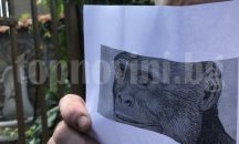 Показват зъба на хоминоид в Чирпан
