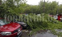 Жертвите на урагана в Москва достигнаха до 14 души