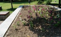 Крадат цветя от градската градина в Търговище