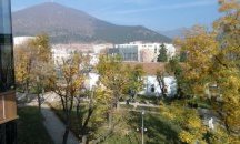 Започва допълнителна обработка против кърлежи в Сливен