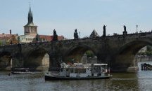 В Чехия приеха закон, забраняващ развъждането на животни за кожи