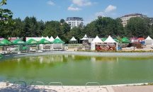Весна Змиянац пее безплатно на „Добрич мези“