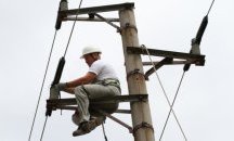 Обсъдиха опазването на царския орел и египетския лешояд