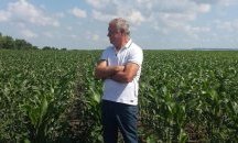 Ден на пшеницата организира зърнопроизводителят Стефан Пенев